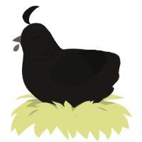 A sable and black chicken with a neck-band pattern