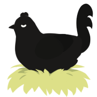 Shadow, a sable and black chicken