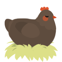 barkley, a bark chicken with a head pattern