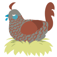 Dato Headache, a ash and russet chicken with a lace pattern