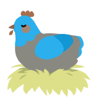 A ash and sky chicken with a head pattern