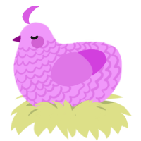 Orchid yxy 2, a lavender and orchid chicken with a lace pattern