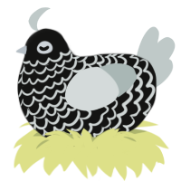 (unnamed), a black and silver chicken with a lace pattern