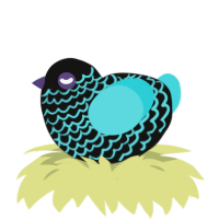 (unnamed), a black and aqua chicken with a lace pattern