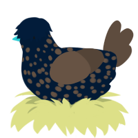 (unnamed), a tumblr and bark chicken with a speckle pattern