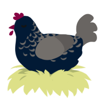 Were Going Places, a tumblr and grey chicken with a half-lace pattern