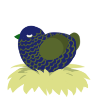(unnamed), a navy and olive chicken with a lace pattern
