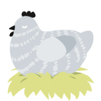 A mist chicken with a bar pattern