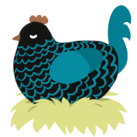A black and sea chicken with a lace pattern
