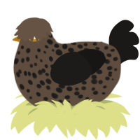 A bark and sable chicken with a speckle pattern