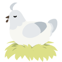 Rupert Knockerbotham, a white and mist chicken with a head pattern