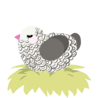 Spike, a white and grey chicken with a double-lace pattern