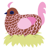 Mocha, a russet and pink chicken with a lace pattern