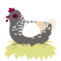 A grey and cream chicken with a half-lace pattern