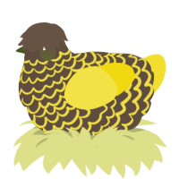 A bark and yellow chicken with a lace pattern