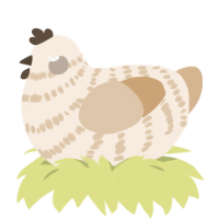 A cream and beige chicken with a bar pattern