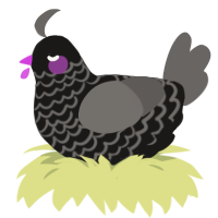 A sable and grey chicken with a lace pattern