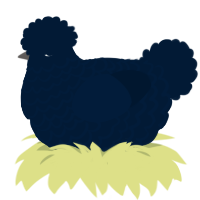 A tumblr chicken with a lace pattern