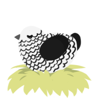 A white and sable chicken with a lace pattern