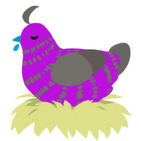 A amethyst and grey chicken with a bar pattern