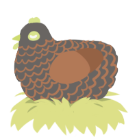 A grey and brown chicken with a lace pattern