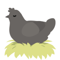 A grey chicken