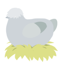 A mist and silver chicken