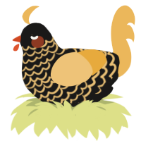 A sable and honey chicken with a lace pattern