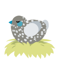 A ash and mist chicken with a speckle pattern
