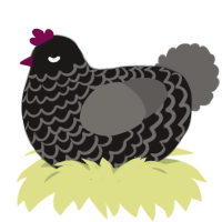A sable and grey chicken with a lace pattern
