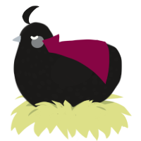 X, a sable chicken with a speckle pattern