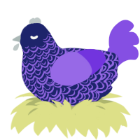 serena, a navy and blurple chicken with a double-lace pattern