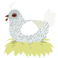A silver and white chicken with a double-lace pattern