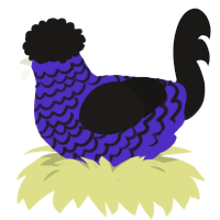 A indigo and sable chicken with a lace pattern