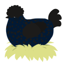 A tumblr and sable chicken with a speckle pattern