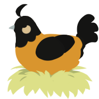A orange and black chicken with a head pattern