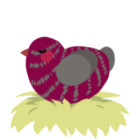 A maroon and grey chicken with a bar pattern