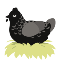 CUTMYLIFEINTOPIECES, a black and grey chicken with a half-lace pattern