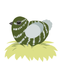 A olive and silver chicken with a bar pattern