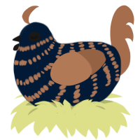 Dipped in Coffee, a tumblr and brown chicken with a bar pattern