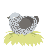 A mist and grey chicken with a lace pattern
