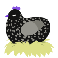 A black and ash chicken with a speckle pattern
