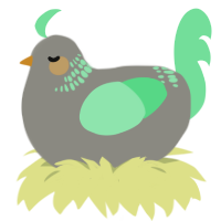 A ash and spring chicken with a neck-band pattern