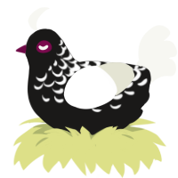 A sable and white chicken with a half-lace pattern