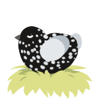 A sable and mist chicken with a speckle pattern
