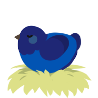 A ultramarine and navy chicken with a head pattern