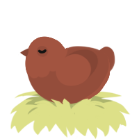 A russet chicken with a head pattern