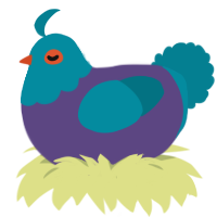 Helios, a overcast and sea chicken with a head pattern