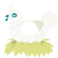 A white chicken with a bar pattern