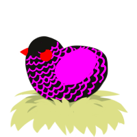 A black and plum chicken with a lace pattern